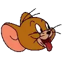 TomAndJerry666
