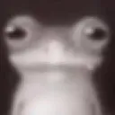 extremestare