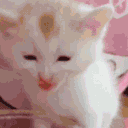 CE_LickingAir animated GIF emoji - Femboy Order・Femboys・Furries・LGBTQ・Roblox ・Tomboys ・Gay・Femboy Tag・Gay Tag・Twink Tag・Minecraft