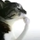 thinking