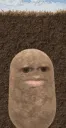 potatoo