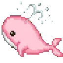 pinkwhale