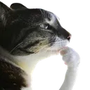 hmm