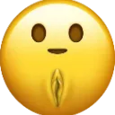 vaginaface