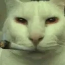 weedcanny