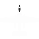 Brawler