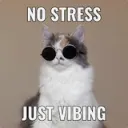 Screenshot20251214at191550memepi