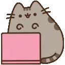 :9_pusheen: 9_pusheen