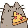 :9_pusheen: 9_pusheen