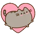 pusheen