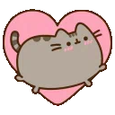 :9_pusheen: 9_pusheen