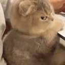 emoji_2 custom emote | 𓆩𝐏𝐡𝐚𝐧𝐭𝐨𝐦 𝐄𝐦𝐩𝐢𝐫𝐞𓆪