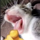 emoji_13 custom emote | 𓆩𝐏𝐡𝐚𝐧𝐭𝐨𝐦 𝐄𝐦𝐩𝐢𝐫𝐞𓆪