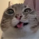 bwaa