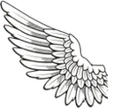 wing