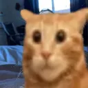 susthecat_ponder_leftist