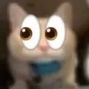 cateyes