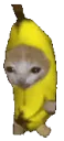bananacat
