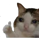 emoji_43