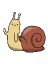 snail