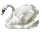 d_swan