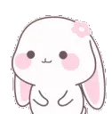 bunnycute
