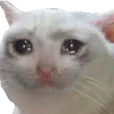 emoji_40
