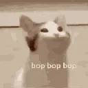 bopbopbopcat
