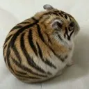 tigercat