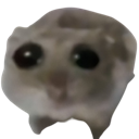 Hamster_sad