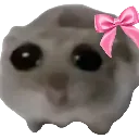 hammy