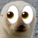 seeing
