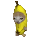 catbanana