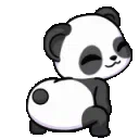 10_panda