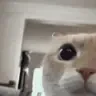 eerm
