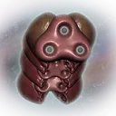 nms_product_stem4