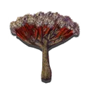 nms_special_dustplant03