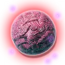 nms_product_meat_raw