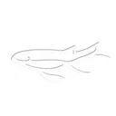 nms_portalsymbol_b
