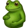deuri_pregnant