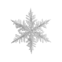 snowflake2