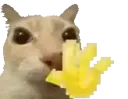 emoji_265