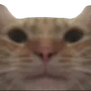 18777stare