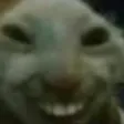 xdd