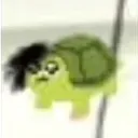 tortugaemo