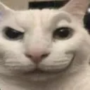 robloxfacecat