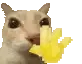 hello