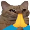 CatPray