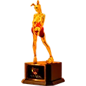 PRIMEIROLUGARAWARDS1
