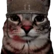 PtsdCat